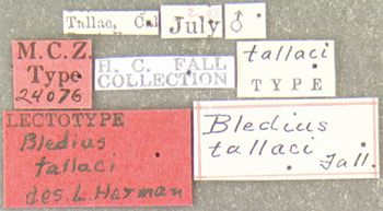 Media type: image;   Entomology 24076 Aspect: labels